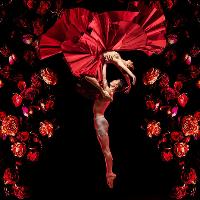 Ballet Central Tour 2020