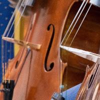 Darlington Orchestra Summer Concert 2018