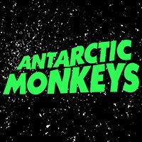 Antarctic Monkeys - The UKs No1. Arctic Monkeys Tribute Band at Electric Daisy