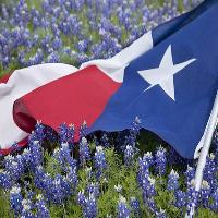Bluebonnet Festival at Bankersmith Texas