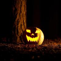 Spooky Samhain at Stockwood Discovery Centre