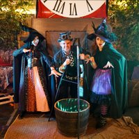 The Sorcerers Apprentice 12:30pm - 1:30pm Session at Holker Hall And Gardens