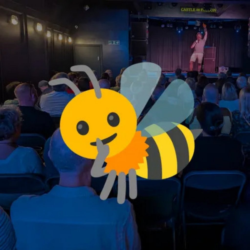 Funny Beeseness – SECRET GIG!