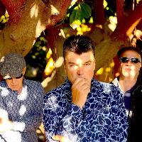 The Blow Monkeys The Blow Monkeys