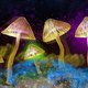 The Science of Psychedelics with Dr Sam Gandy Event Title Pic