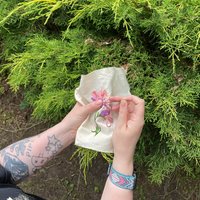 Botanical Slow Stitching with Sorrell Kerrison at Astley Hall Coach House And Park