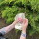 Botanical Slow Stitching with Sorrell Kerrison