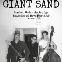 Giant Sand at Under The Bridge
