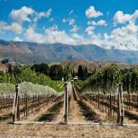 Wine School Evening Tasting