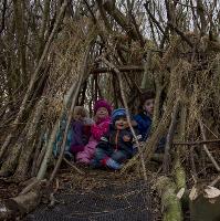 Wild Families: Survival