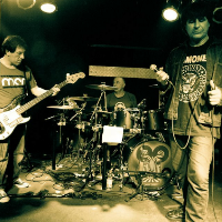 Chameleons Vox