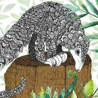 Audio Farm: The Pangolin at The Old Pint Pot