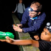Bat Walks at WWT London Wetland Centre