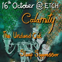 Calamity with The Undead Cat and Sleep Suppressor