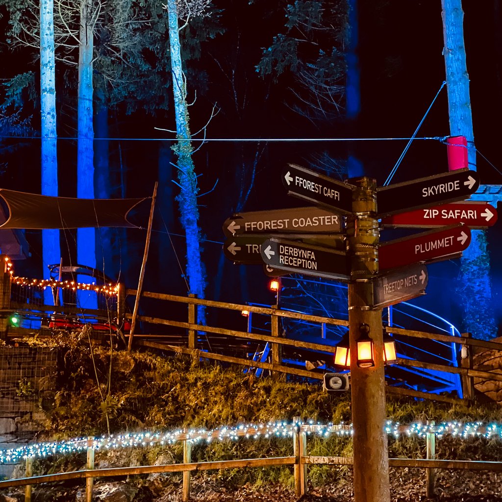 Festive Forest Christmas Experience