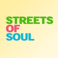Streets of Soul Vinyl Yard Party at The Full Moon And Attic Bar
