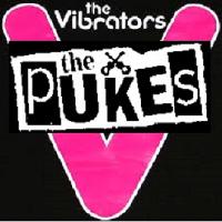 The Vibrators + The Pukes at The Kingfisher