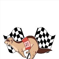 family friendly charity ferret race night