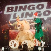 Bingo Lingo - The Christmas Special! at Reading Students Union