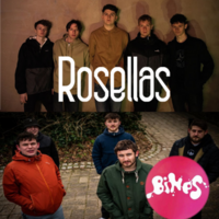 Rosellas + Bines + The Silver Bars at The Ferret