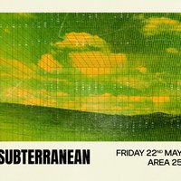 Subterranean Records at Area 25 The Basement