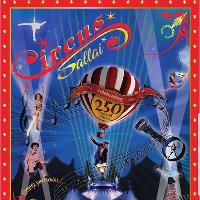Circus sallai