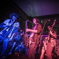 Murky Nights at Grow
