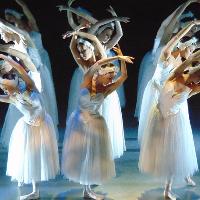 SWAN LAKE