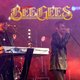 Bee Gees Tribute Night - Castle Bromwich Event Title Pic