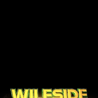 Wilesideldn