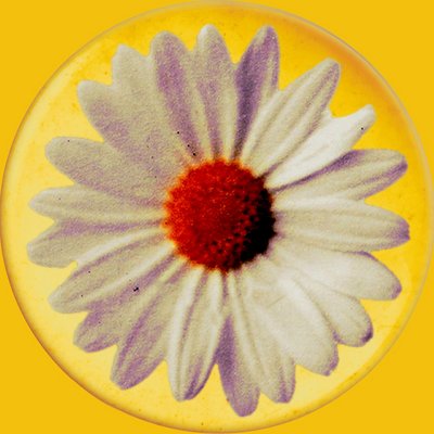 Daisy Chain Fields