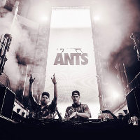ants at Printworks London