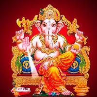 New Zealand +91-8146176661 Love Problem Solution Astrologer Guru