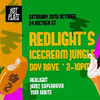 Redlight's Ice Cream Jungle at 24 Kitchen Street