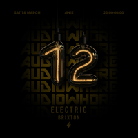 Audiowhore 12th Birthday at Electric Brixton