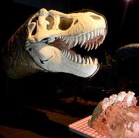 Dino Jaws