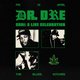 Dr. Dre's 2001: A Live Celebration Event Title Pic