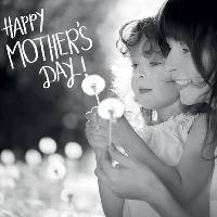 Mothers Day - Bubbles & Buble Carvery Lunch