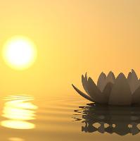 Mindfulness