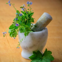 Midsummer Healing with Herbs - a talk with Steve Taylor