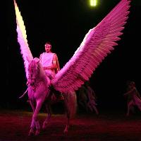 Spirit of the Horse