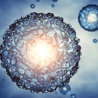 A long and winding road to make from cells a surgical tooLectul