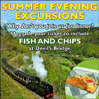 Summer Evening Excursion