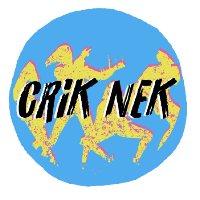 Crik Nek Launch Night at Aatma