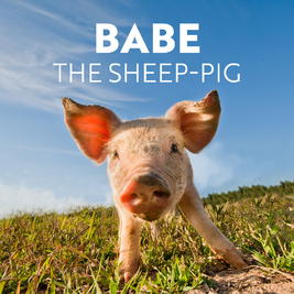 Babe, The Sheep Pig