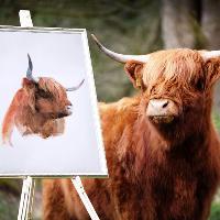 Royal Highland Show 2019 at Royal Highland Centre