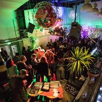 Sunday Reggae Jam // Live Music & DJs