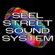 Seelstreet Soundsystem : Charity Skank Event Title Pic