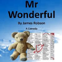 Mr Wonderful