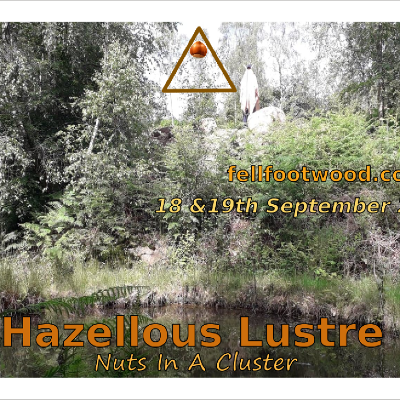 Hazellous Lustre. Nuts in a Cluster